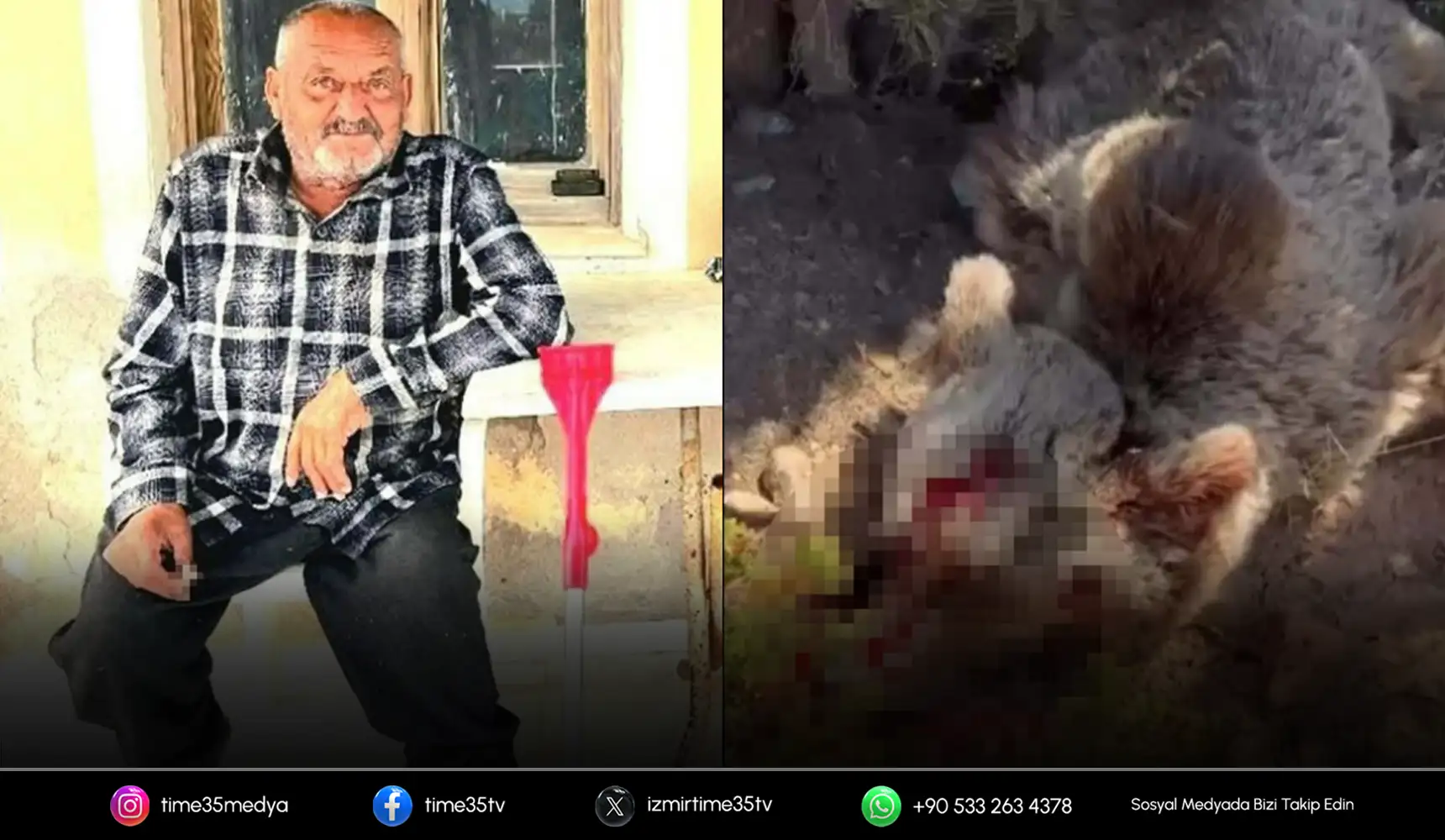 Ölümcül saldırının ardından ayı vurularak öldürüldü