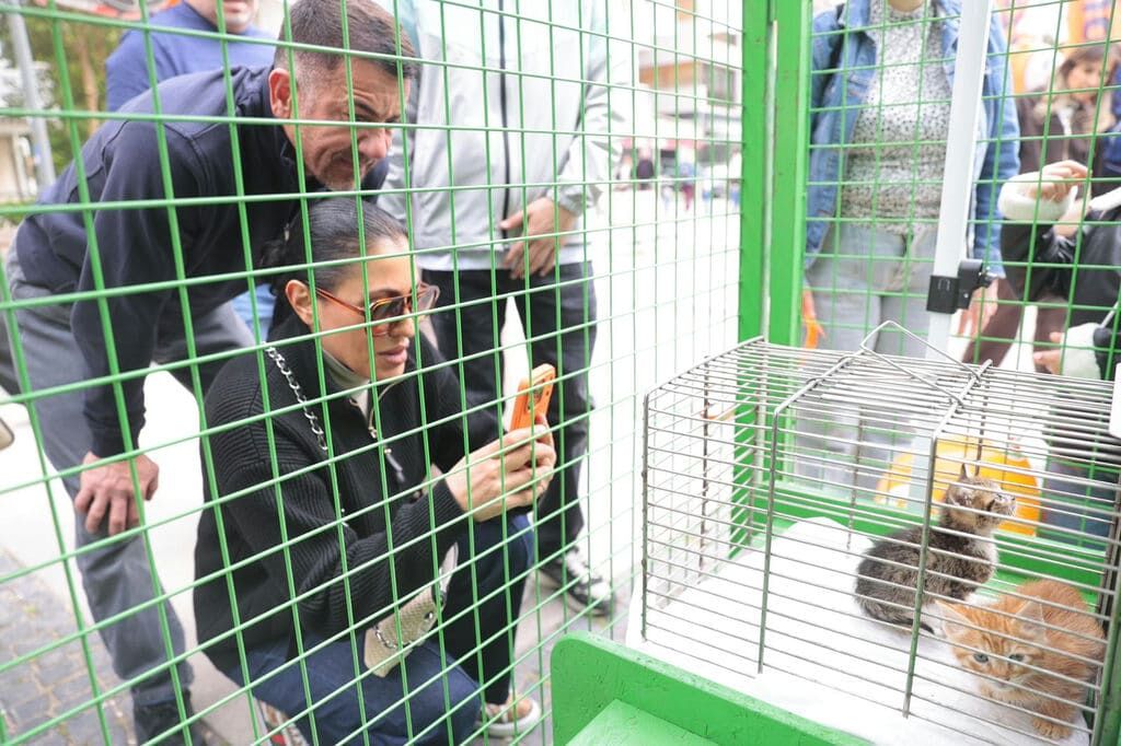 Patilerin Festivali 7’Nci Kez İzmirlilerle Buluşuyor (2)
