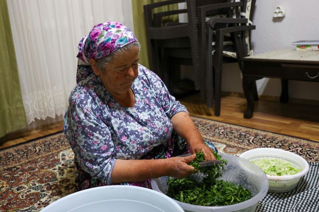 Buca Mesude Teyze (2)